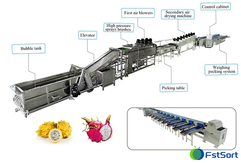 images/1679386992976dragon fruit processing machine.jpg